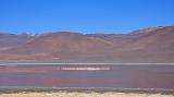 BOLIVIA - Verso il Chile - 09